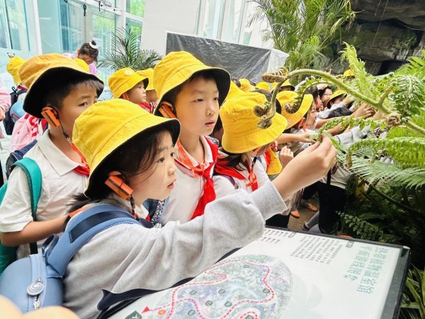 中博策略 不得将参与情况与学生升学挂钩！成都出拳加强中小学研学管理｜热点关注