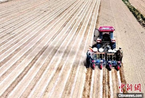 永华配资 沙漠腹地民勤可“盐”可“甜”