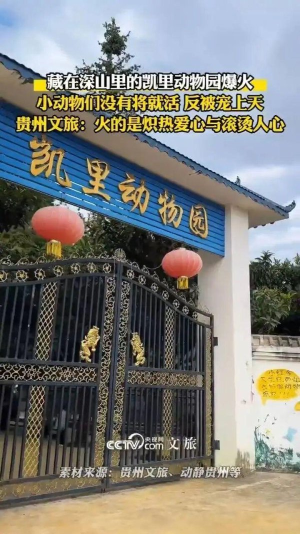 交易鑫优配 退休教师“再就业”，20元门票十年不涨价，这家深山里的动物园藏不住了！