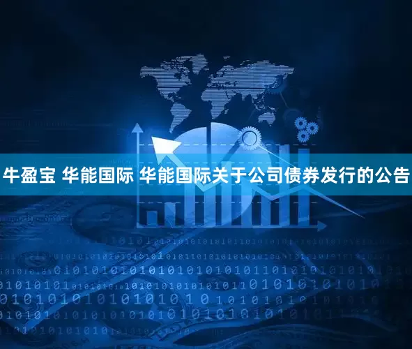 牛盈宝 华能国际 华能国际关于公司债券发行的公告